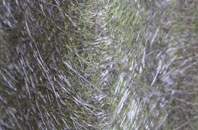 Woolaston Woodside fibreglass roof work